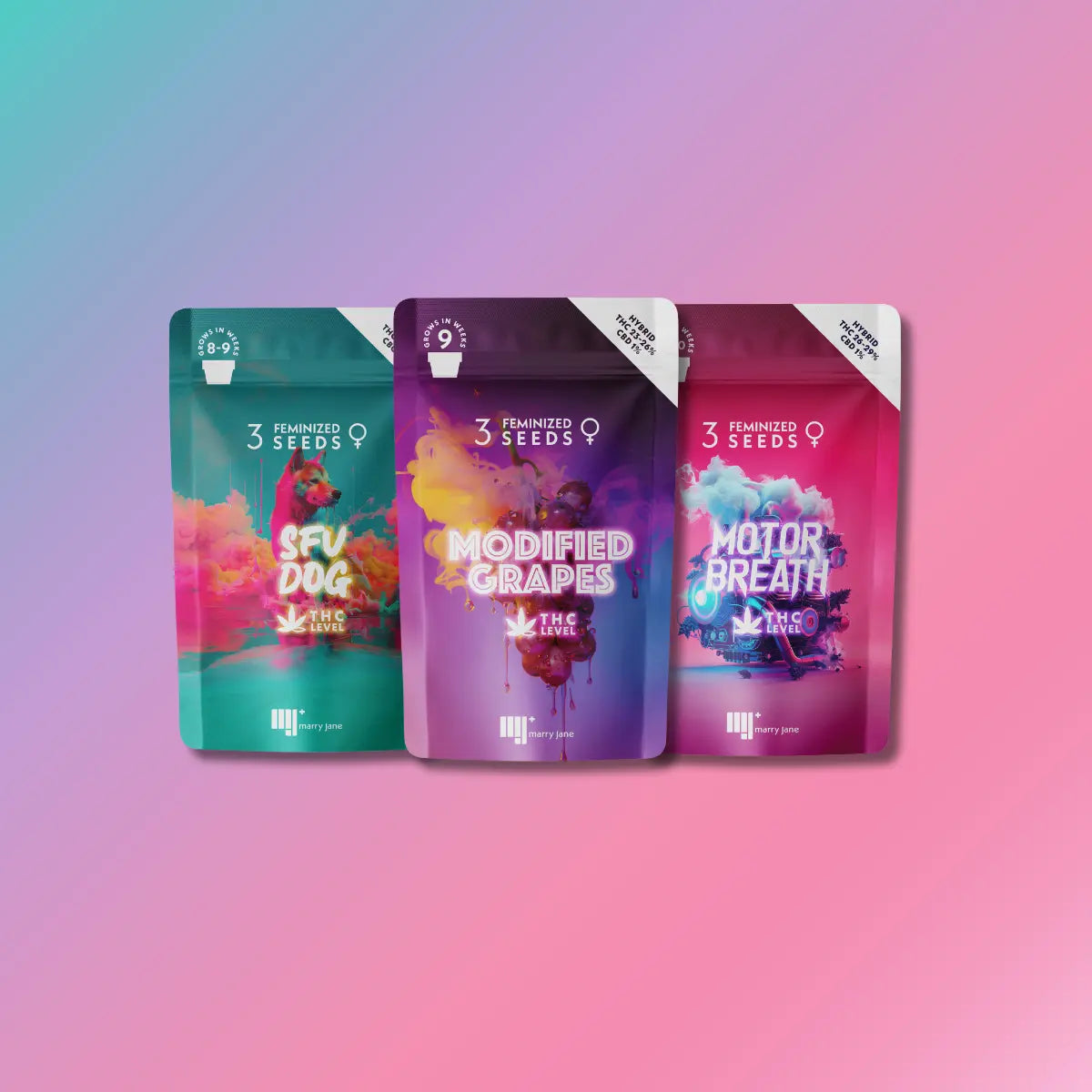 First Grow Starter Pack + E-book: CBD Cannabis Cultivation