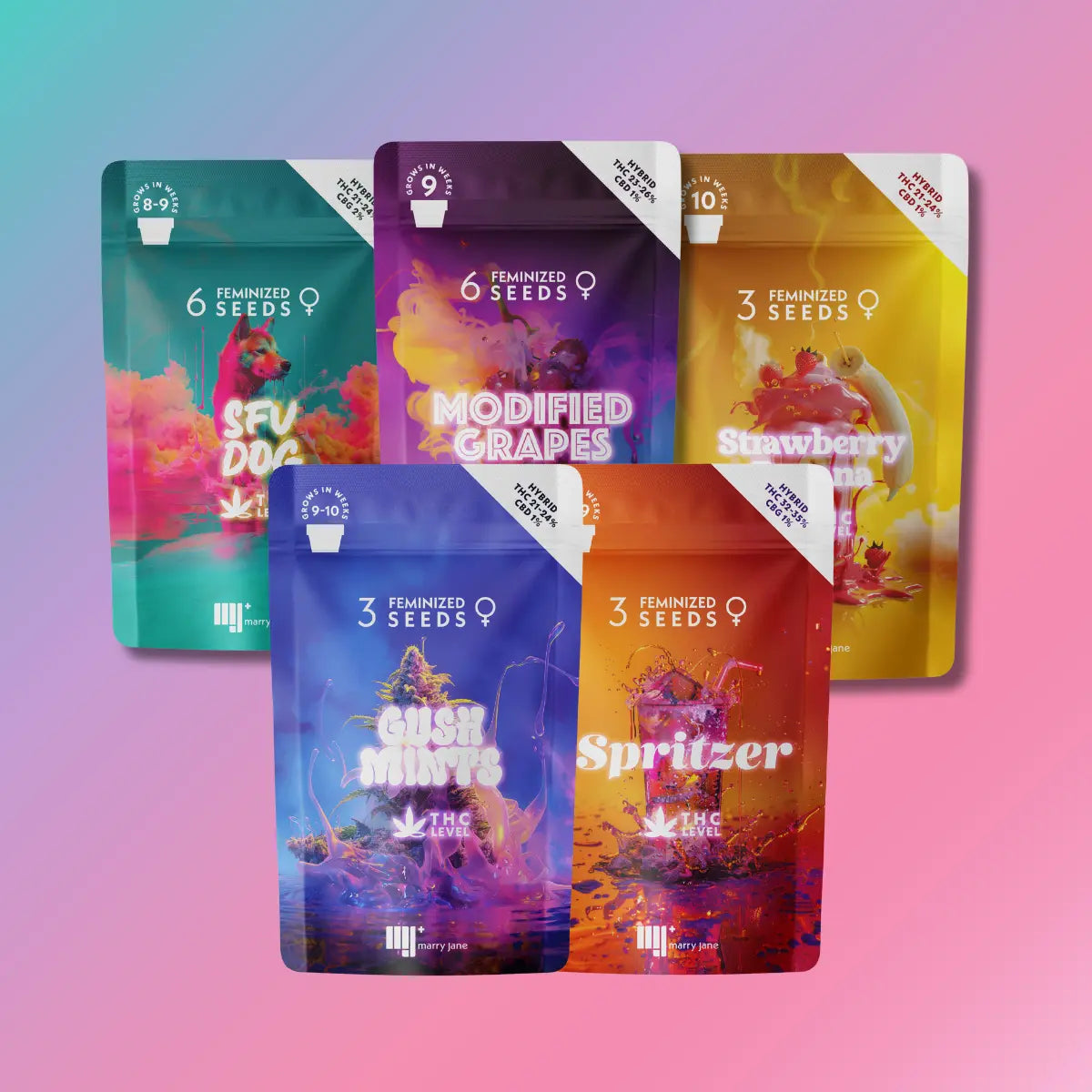 Premium Genetics Bundle + E-book: CBD Cannabis Cultivation