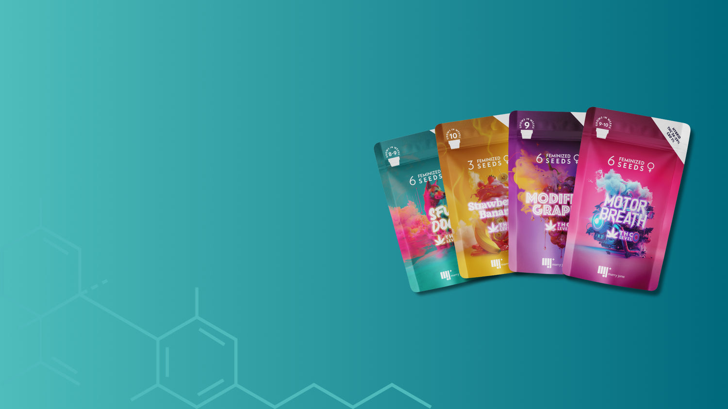 Highlight banner showcasing premium CBD cannabis seeds by Marry Jane – SFV Dog, Strawberry Banana, Modified Grapes, and Motor Breath in vibrant packaging.
